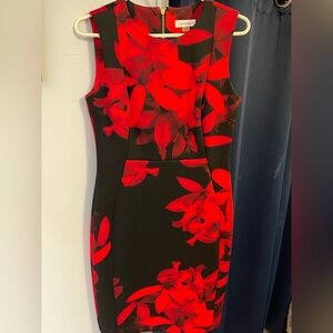 Calvin Klein Dress